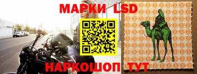 PSILOCYBIN Бугуруслан