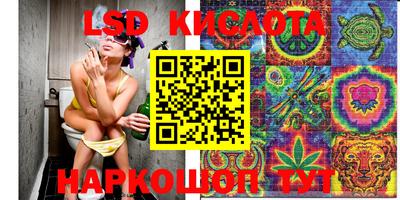 jwh Будённовск