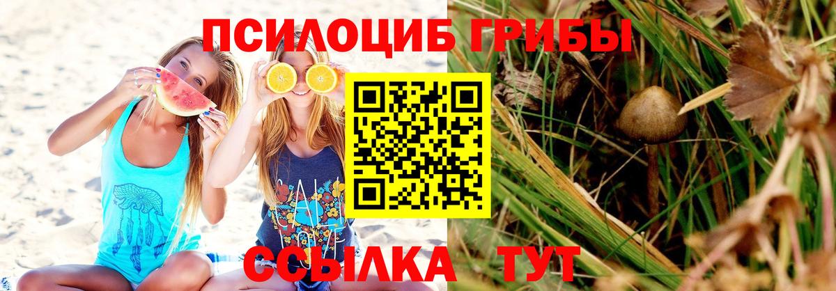 Биробиджан  Галлюциногенные грибы ЛСД  Вход с VPN  Галлюциногенные грибы прущие грибы 